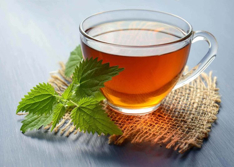 Tisana per gastrite